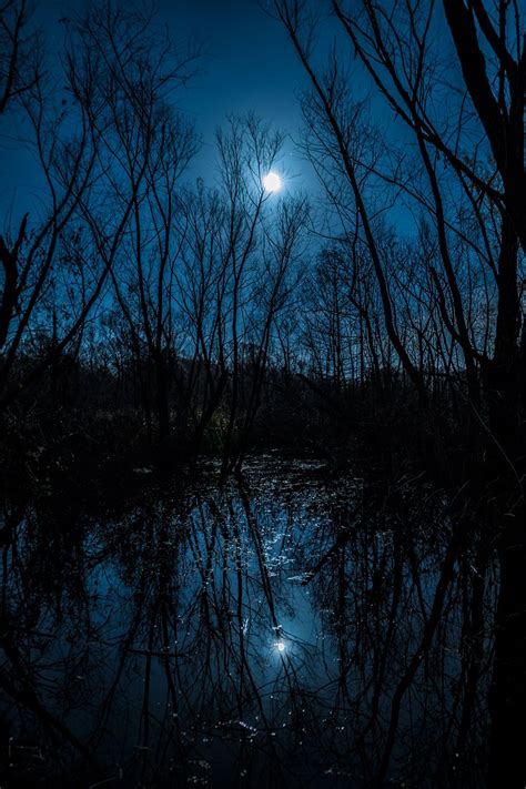 Blue Moonlight Night Time Photography Moonlight Photography Moonlight