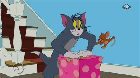 The Tom And Jerry Show Season 4 Episode 50 Curiosity Thrilled The Cat