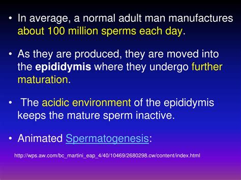 Ppt Reproduction In Humans Spermatogenesis Oogenesis Conception Implantationand Introduction