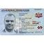 Latvia ID Card Template Psd  Latvian High Quality