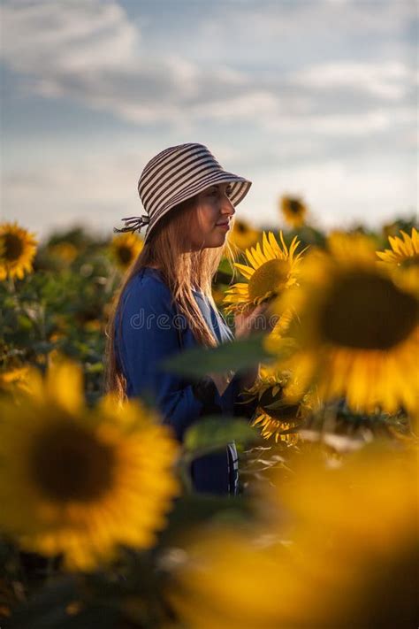 Girl In A Blue Dress Leaves With Hat In Field Of Sunflowers Stock Photo