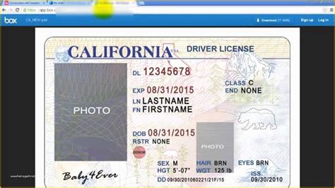 Florida Drivers License Template Download Copperlasopa