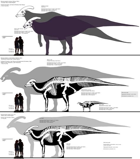 parasaurolophus skeletals by fadeno on deviantart