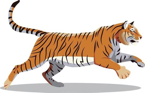 Tiger Vector Art Icons And Graphics For Free Download
