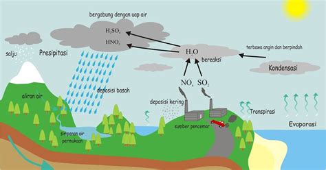 Menyediakan air segar untuk tanaman tumbuh, minum, menjaga semuanya tetap segar dan hijau. Proses terjadinya hujan asam dan dampaknya bagi kehidupan