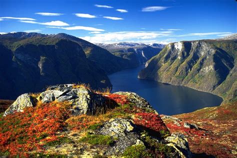 Wonders Of World Fjords Of Norway