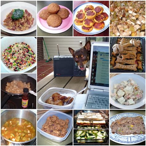 Give them healthy food that's easy to digest, like boiled chicken and brown rice. 2 Healthy Homemade Dog Food Recipes - PetHelpful - By fellow animal lovers and experts