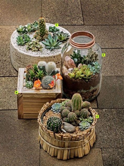 There is actually no end to arresting cactus decoration ideas. 62+ Lovely Small Cactus Ideas For Interior Decorations ...