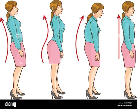 vector illustration of a the correct position of the spine stock vector image and art alamy