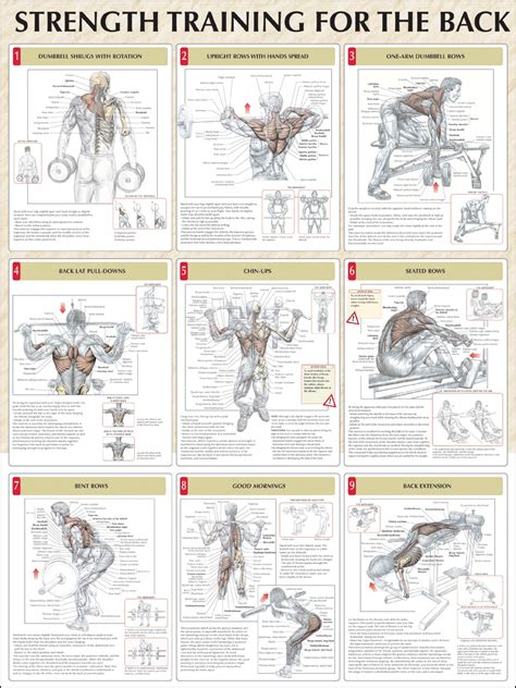 Strength Training Exercises Obedientlifestyle