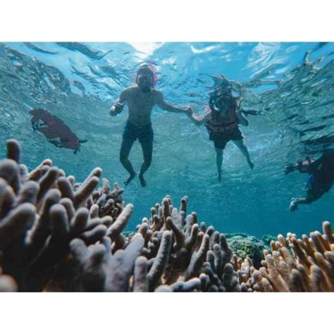 Jual Paket Wisata Travel Tour Liburan Karimunjawa Indonesia D N Open