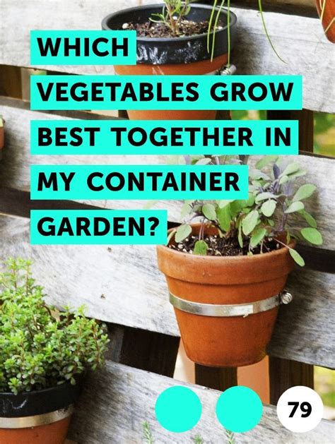 Learn Which Vegetables Grow Best Together In My Container Garden How