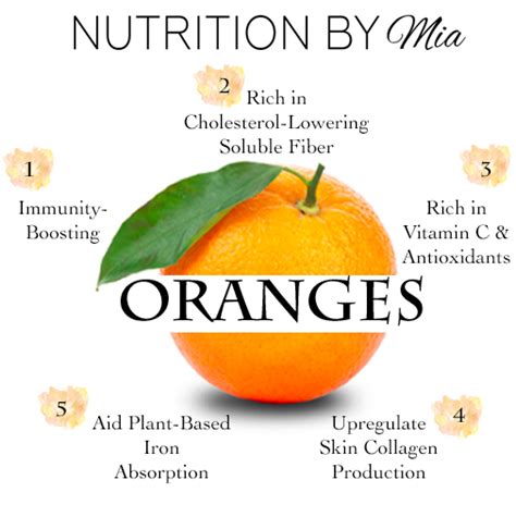 Food Feature Oranges Nutrition By Mia