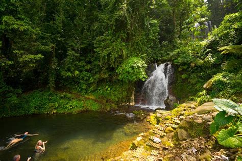 Waterfall And Hot Springs Mud Bath Tour In Rincon De La Vieja Triphobo