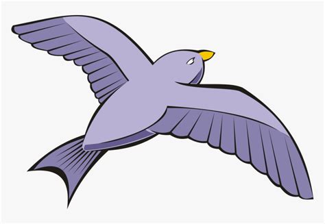 Bird Columbidae Rock Dove Flight Beak Flying Birds Clip