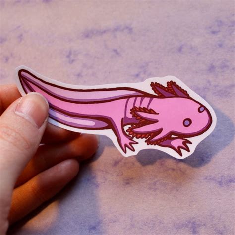 How to draw an axolotl for kids. Cute Axolotl Waterproof Vinyl Sticker - Alexis Krauss Art