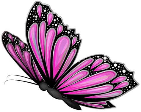 Check spelling or type a new query. butterfly transparent Transparent butterflies clipart jpg - Clipartix