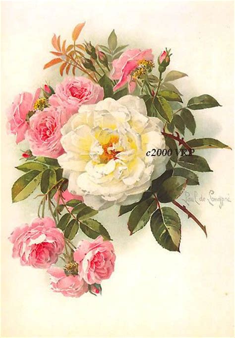 400 Vintage Rose Prints Ideas Vintage Roses Prints Vintage Flowers