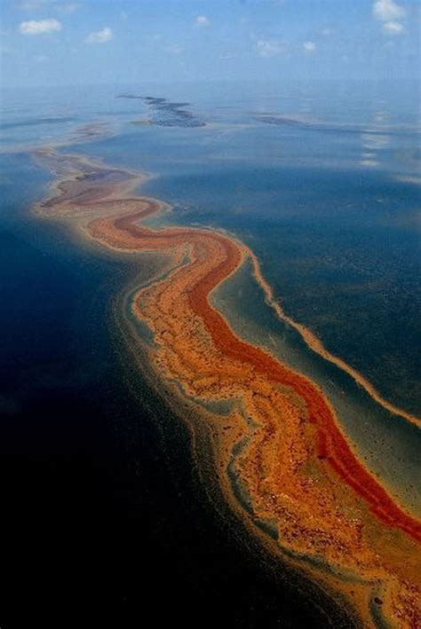 Bp Oil Spill Forces Rethinking On Offshore Drilling