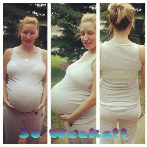 Pregnant With Twins Belly Progression Edit Telegraph