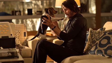 In that moment, i received some semblance of hope. John Wick | Cinema Sips