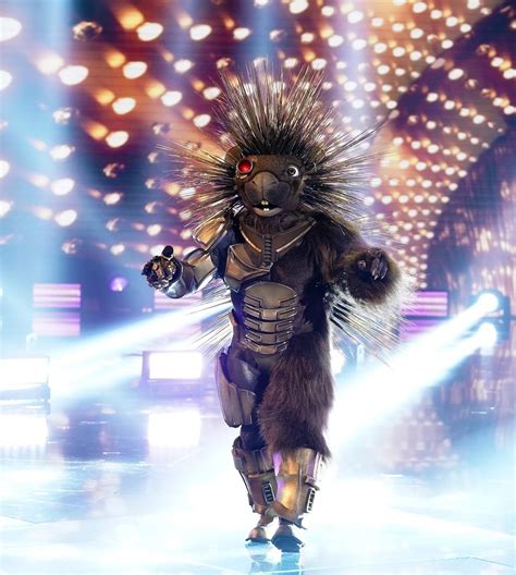 Who Is The Robopine In The Masked Singer Season 5