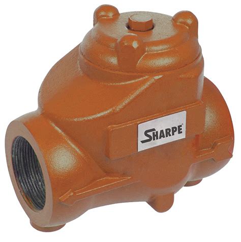 Sharpe Valves Check Valve 2 Single Inline Swing Carbon Steel Fnpt