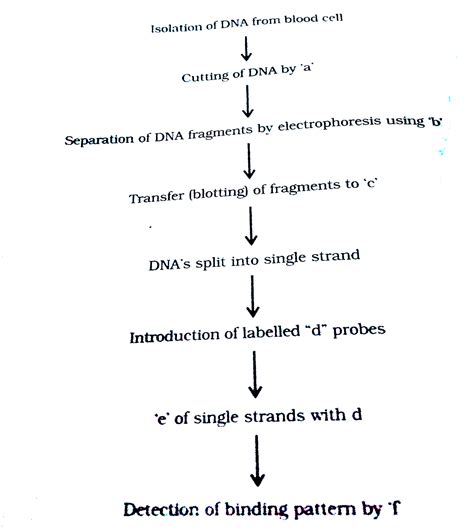 Flowchart Dna And Charts On Pinterest Vrogue Co