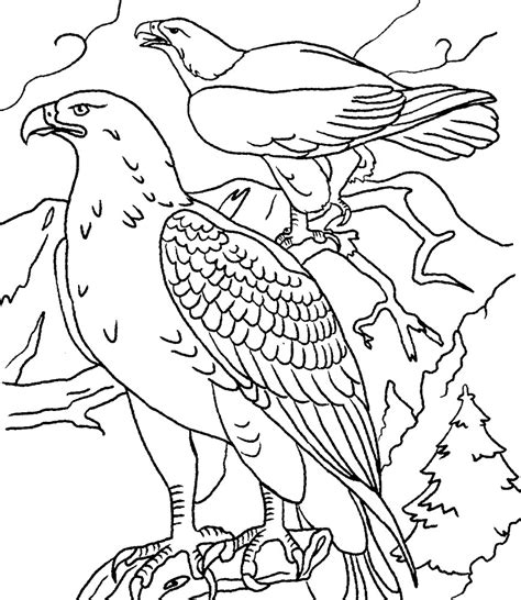 Just click on one of the thumbnails thumbnails to request them. Golden eagle coloring pages to download and print for free