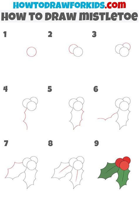 How To Draw Mistletoe Diy Mistletoe Mistletoe Drawing Drawing