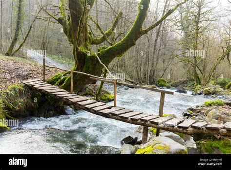 Small Wooden Bridge Over The Mountain River In The Forest Stock Photo