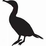 Cormorant Crested Double Icon Cormorants Silhouette Birds