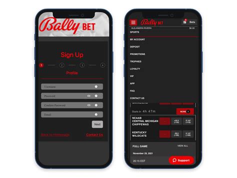 Bally Bet Review And Bonus Rating And Odds Compared 2024