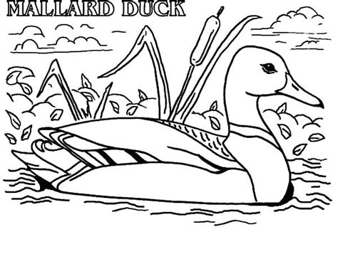 Meme coloring pages gallery nice spongebob and squidward colour in spongebob a digital co. Meme Coloring Pages at GetColorings.com | Free printable ...