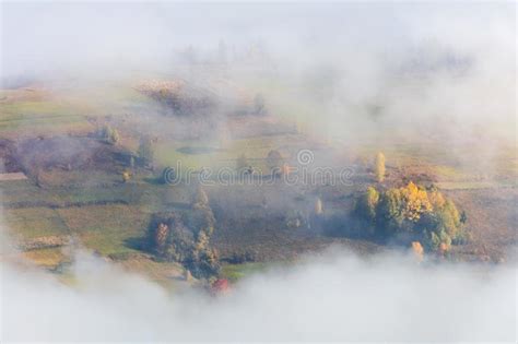 Aerial View Fog In Mountains Valley With Colorful Trees Stock Image