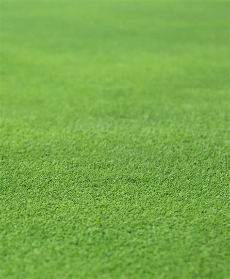 Golf Grass Texture
