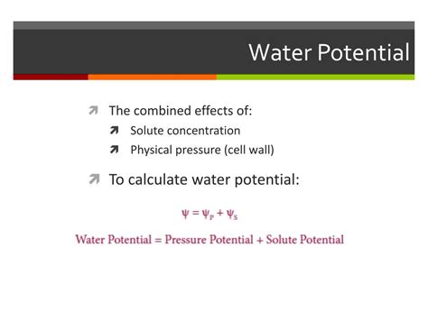 Ppt Water Potential Powerpoint Presentation Free Download Id6323159