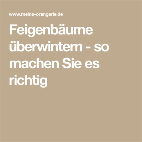 We did not find results for: Feigenbäume überwintern - so machen Sie es richtig ...