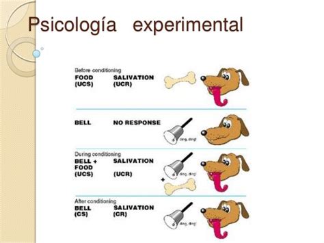 Psicología Experimental