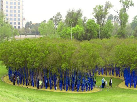 The Blue Trees Project Ods