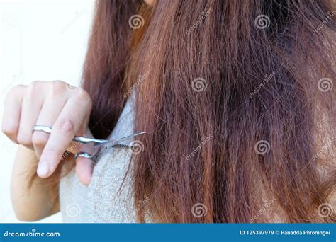 Hair Damagehair Damage Health And Beauty Concept Stock Image Image