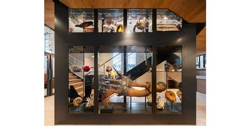 The Natural History Museum Opens The Anning Rooms An Exclusive New