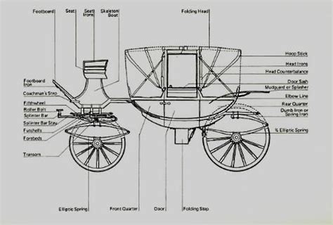 Four Wheeled Carriage Anatomy Carriages How To