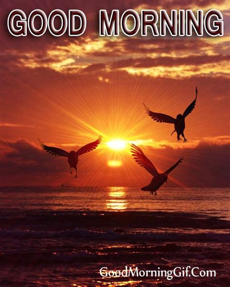 30 Good Morning Sunrise Images Photo For Whatsapp