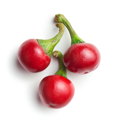Red Cherry Pepper Ubicaciondepersonascdmxgobmx