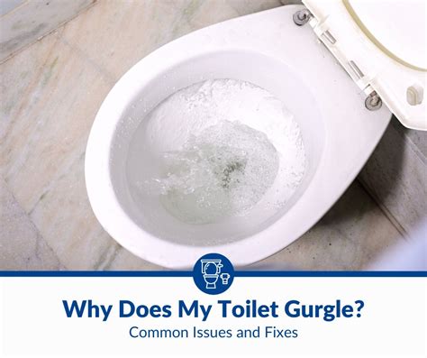 Why Does My Toilet Gurgle Common Issues And How To Fix 2024