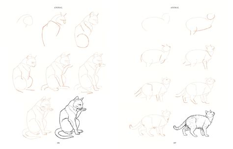 How To Draw 200 Animals Step By Step How To Draw A