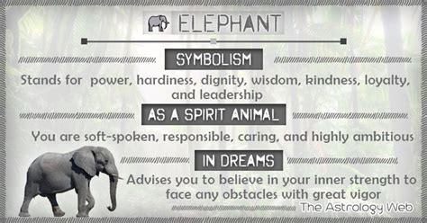 Cat dream meaning black cat in dream and dreaming of cats and in this video we you islamic dream. Elephant Meaning and Symbolism | The Astrology Web