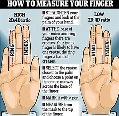 what do your fingers say about you digit length may reveal if you are likely to be athletic