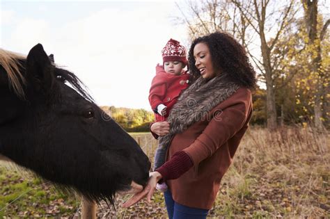 Young Girl On Autumn Walk With Mother Stroking Horse Stock Image